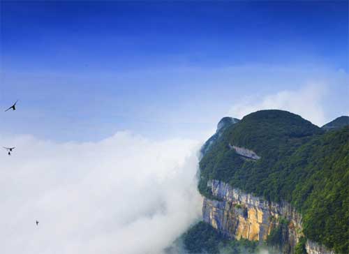 金佛山自然科普成長夏令營7 天營